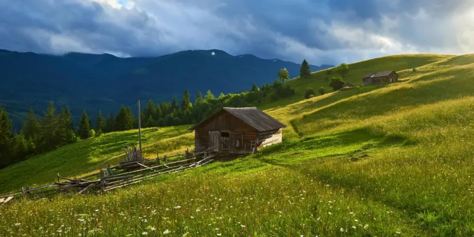 Ile prądu pobiera lodówka? Odkryj z nami tajemnice monitoringu komputerowego!